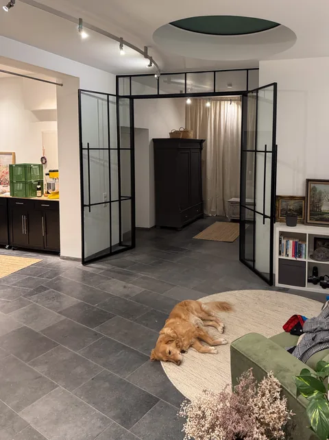 Stahl-Glas-Drehtür im Altbau-Wohnzimmer mit Hund auf dem Teppich